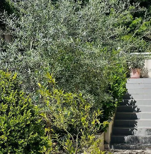 Propriete Malva Agava 公寓 阿拉塔